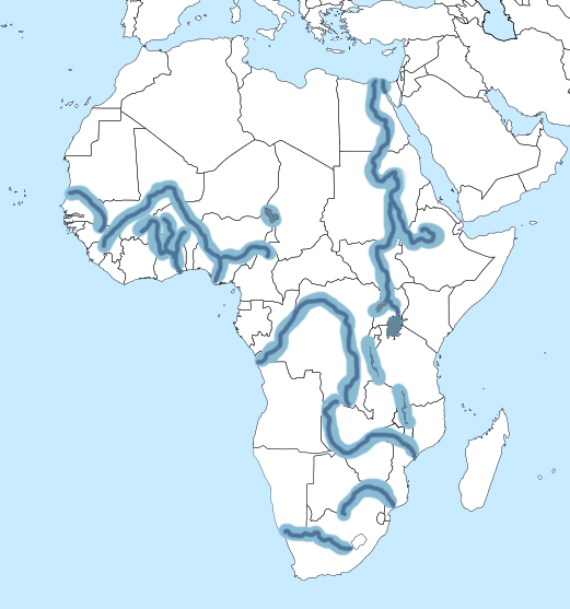 Map of Africa with Rivers