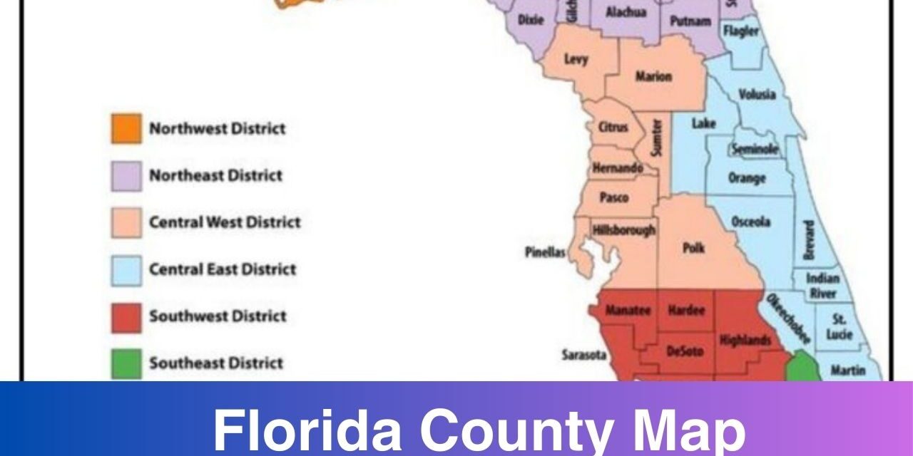 Florida County Map with Cities | PDF