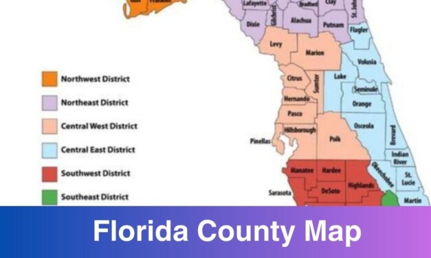 Florida County Map with Cities | PDF