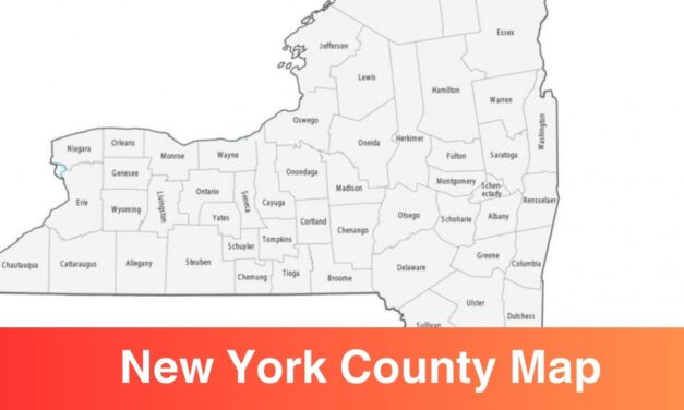 New York County Map | Printable NYC City Map